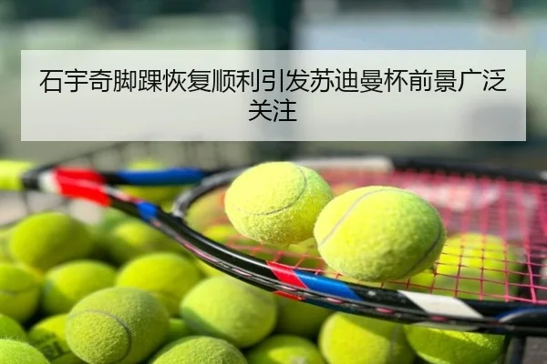 石宇奇脚踝恢复顺利引发苏迪曼杯前景广泛关注